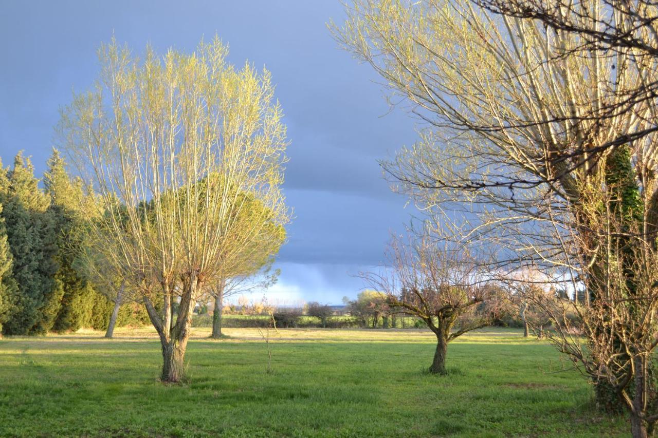 Chambres d hôtes de charme dans Mas La Souvine du 17ème, chambres climatisées Bédarrides Exterior foto